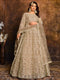 Beige Net Designer Anarkali Suit