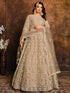 Beige Net Designer Anarkali Suit